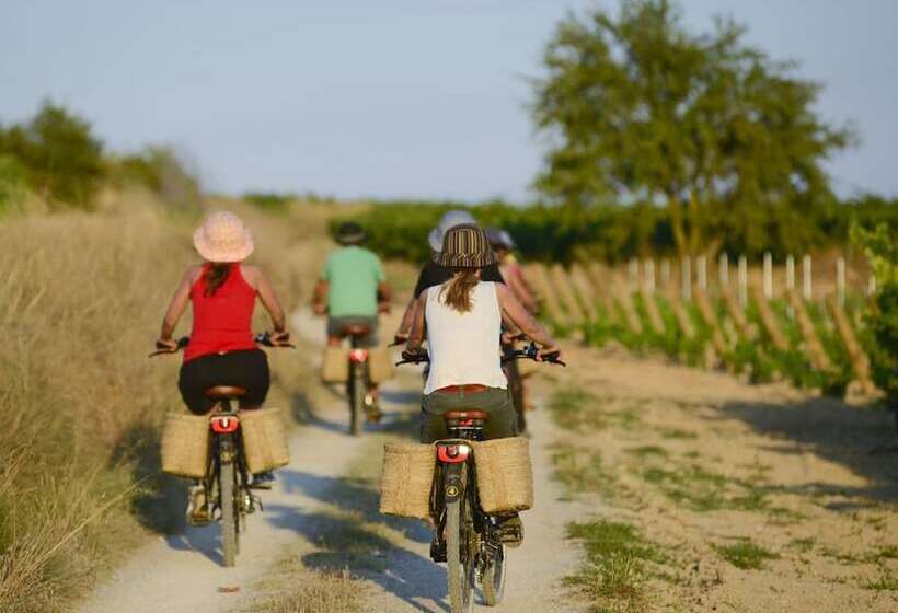 پانسیون Cal Nou 9   Adults Only