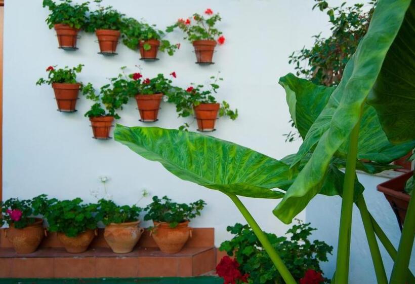 Пансион Hostal Batato