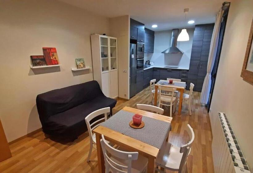 پانسیون L Astrolabi  Centre Ripoll