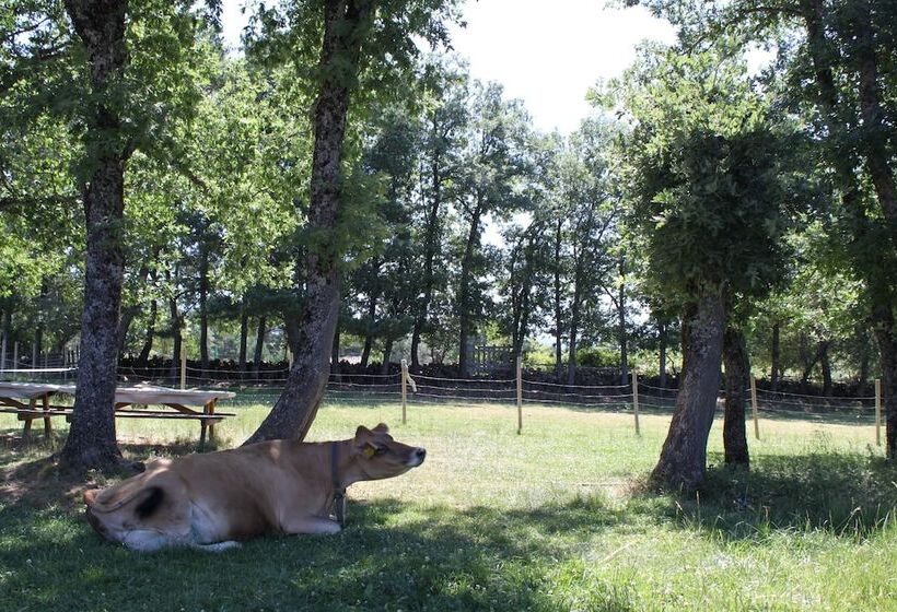 ホテル Eco Urbion