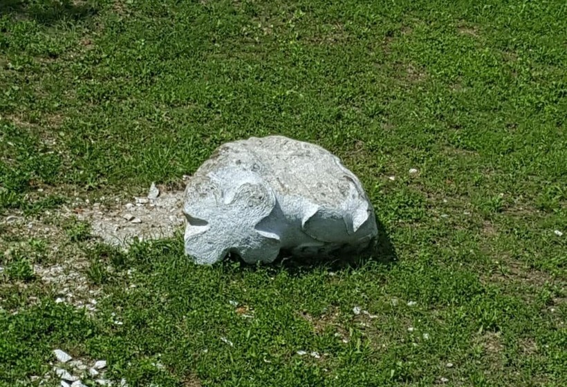 فندق Masetto Egidio Agritur