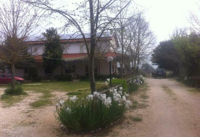 Отель Agriturismo Le Madonnelle