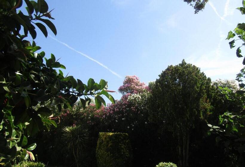 膳宿费 Arenosu Comfort Country Resort