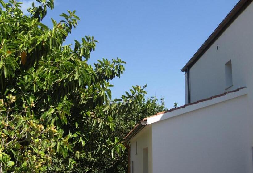 膳宿费 Arenosu Comfort Country Resort