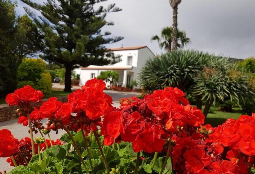 膳宿费 Arenosu Comfort Country Resort