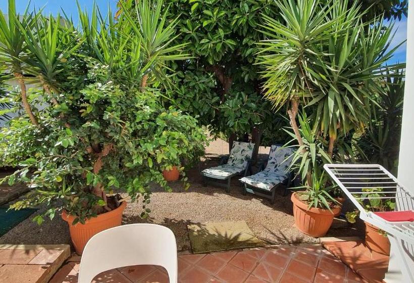 膳宿费 Arenosu Comfort Country Resort