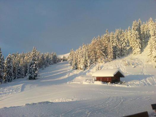ユースホステル Gasthaus Furlhütte