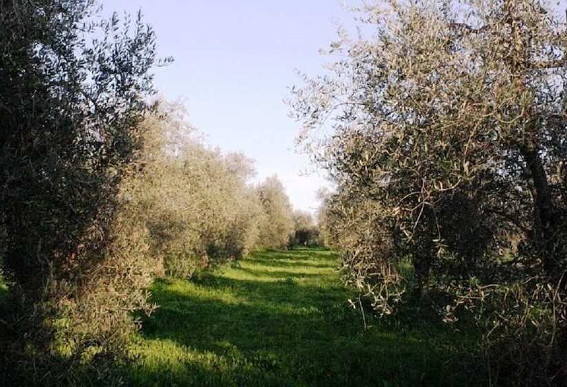 فندق Agriturismo Vigna Mai