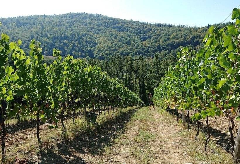فندق Borgo Macereto