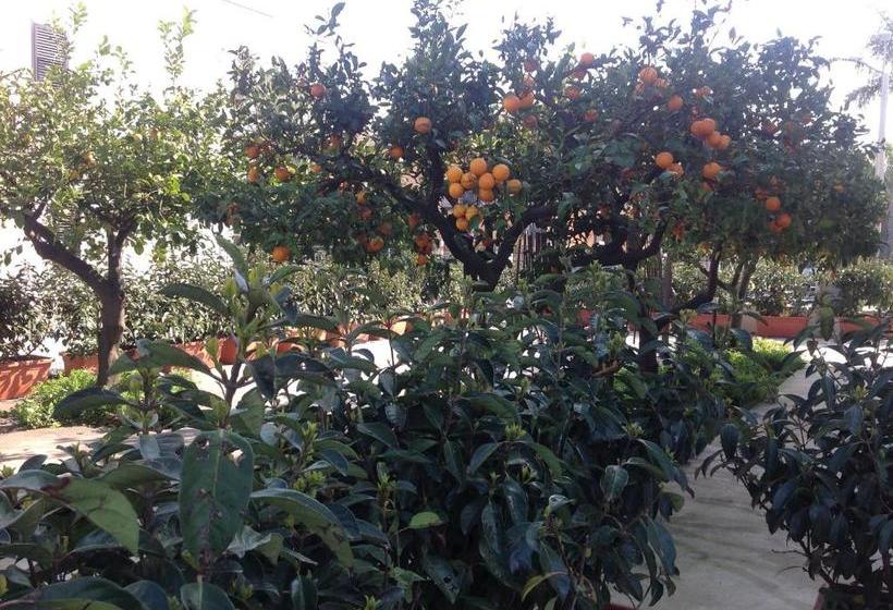 هاستل Locanda Ermes