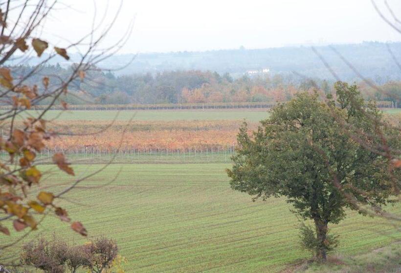 호텔 Agriturismo Il Vecchio Portico