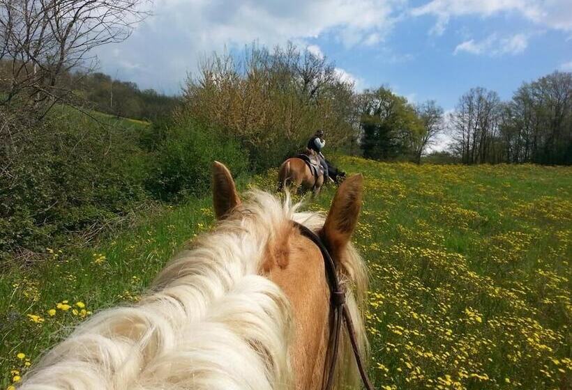 בית מלון כפרי Agriturismo Yes Boss