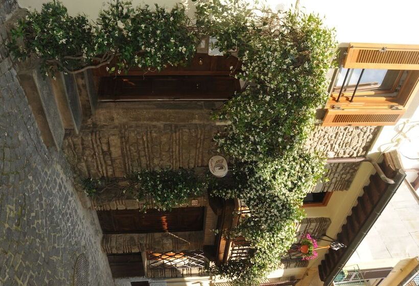بنسيون Atlantis Inn Castelgandolfo