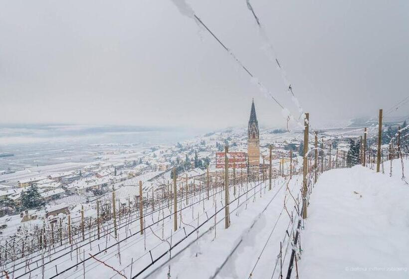 Пансион Garni Vinea Montis