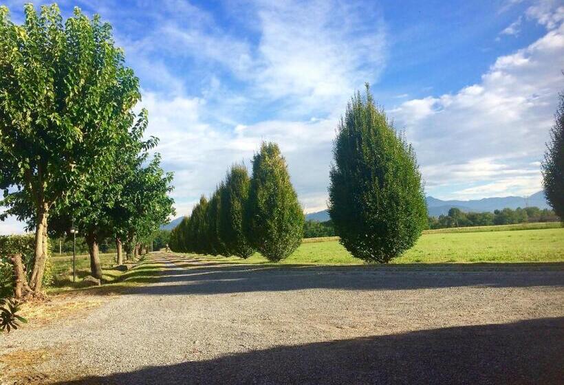 ホテル Agriturismo Cà Del Lupo