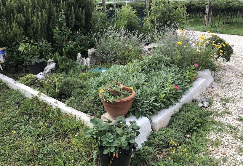 فندق Agriturismo Tre Forti