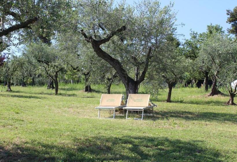 فندق Locanda Belvedere