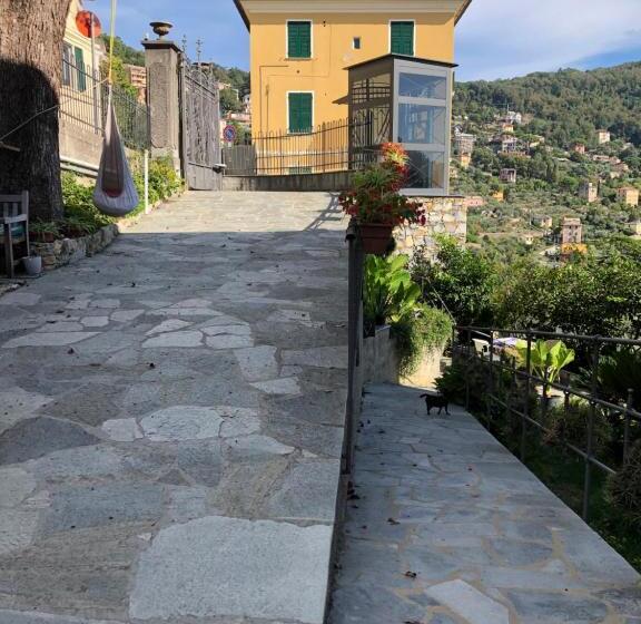 بنسيون B&b Villa Orchidea