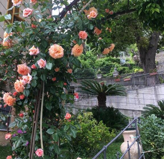 بنسيون B&b Villa Orchidea