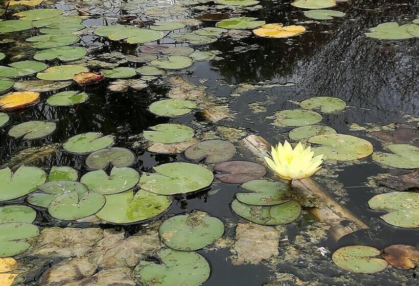 호텔 Agriturismo Spirdo