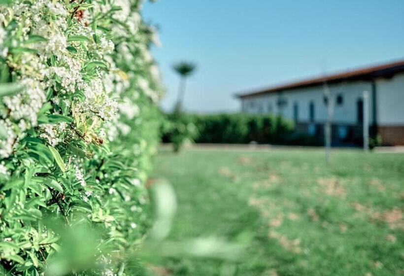 فندق La Massarìa Agriresort