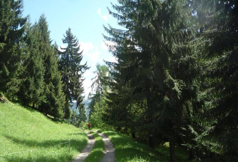 פנסיון Di Baut