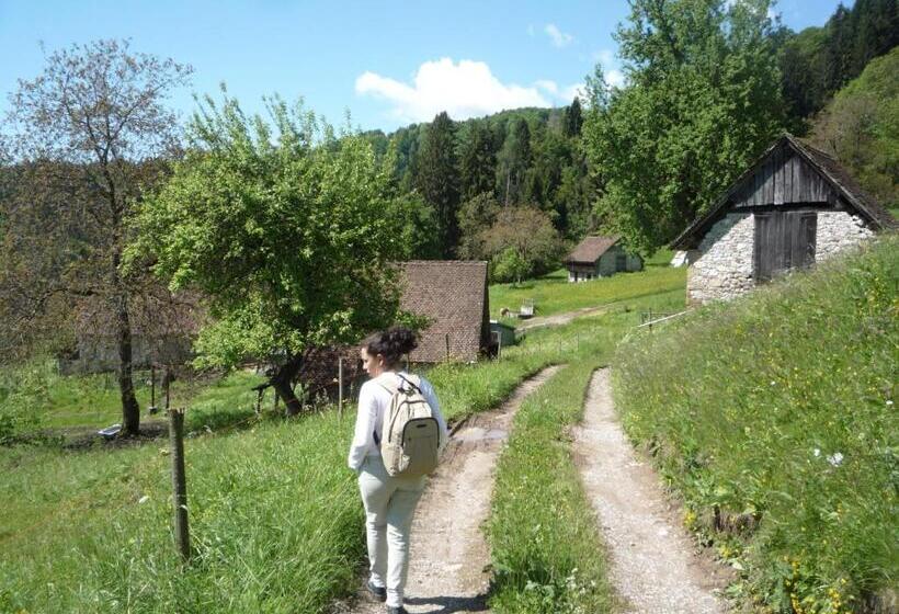 פנסיון Di Baut