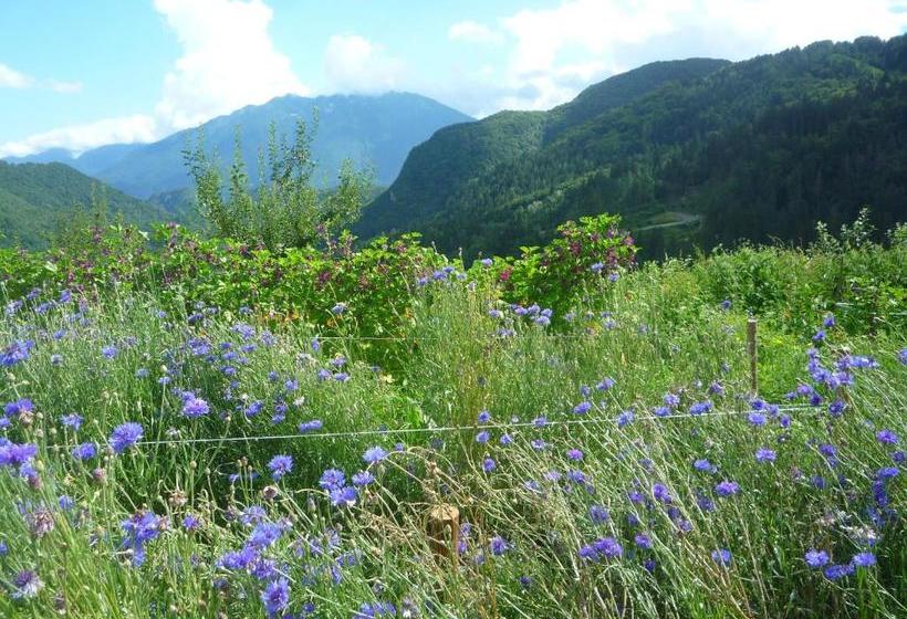 פנסיון Di Baut