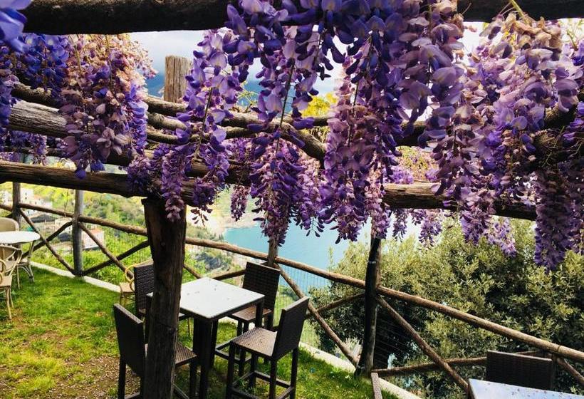 پانسیون Giuliana's View