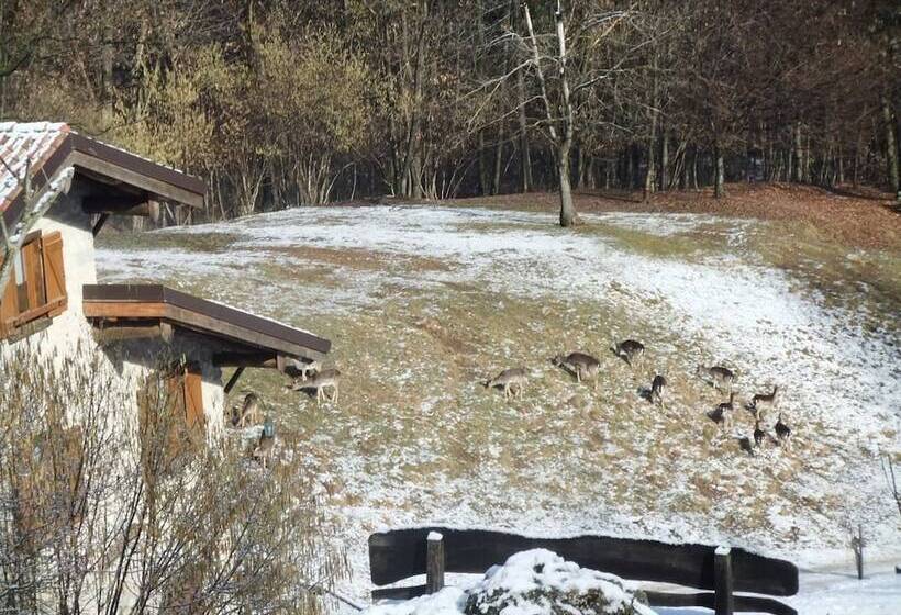 ホテル Agriturismo Agrimon