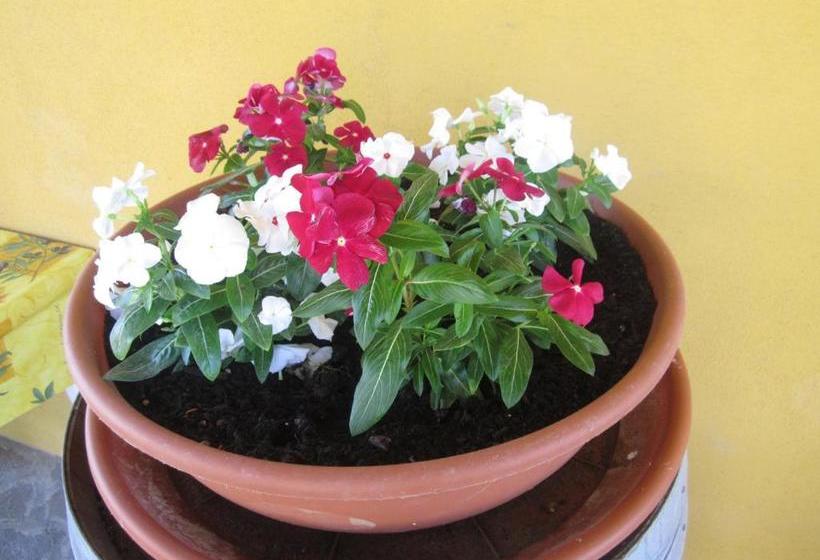 فندق Agriturismo La Carlina