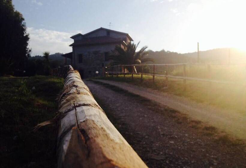 酒店 Antica Conca D'oro