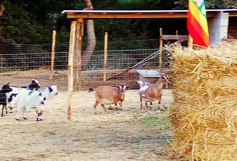 酒店 Antica Conca D'oro