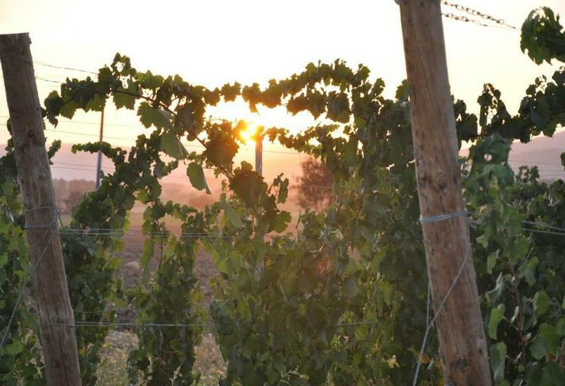 호텔 Morami Wine Agriturismo
