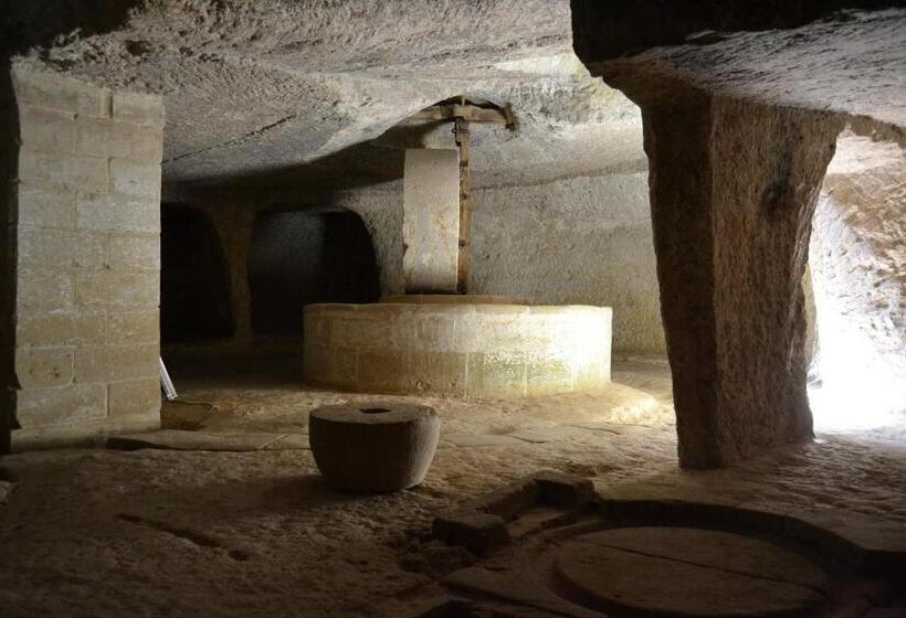 بنسيون Trapetum Salento Domus