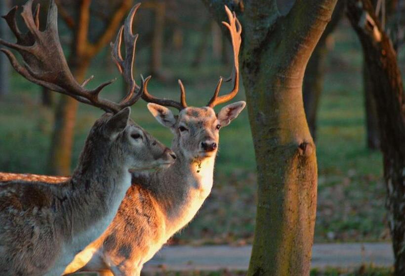 בית מלון כפרי Agriturismo I Leprotti