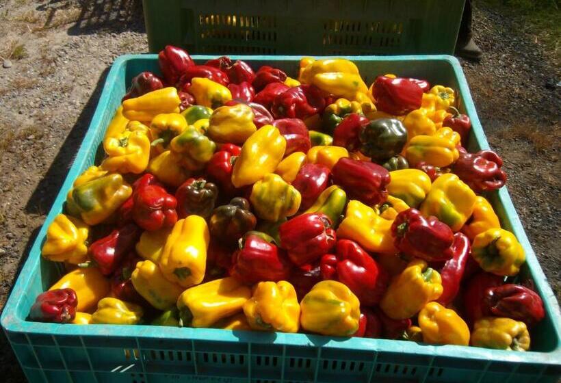 فندق Agriturismo La Desiderata