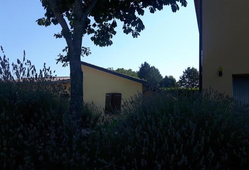 호텔 Agriturismo La Selva