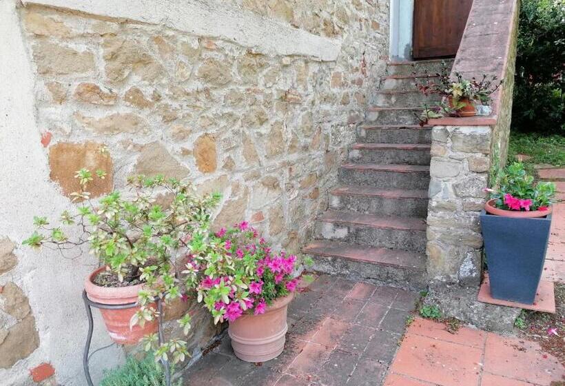 ホテル Agriturismo Poggio All'olmo