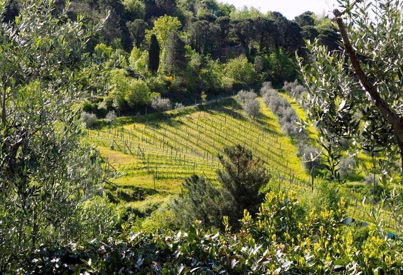 ホテル Agriturismo Poggio All'olmo