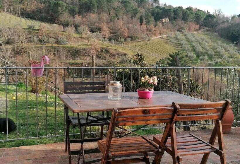 ホテル Agriturismo Poggio All'olmo