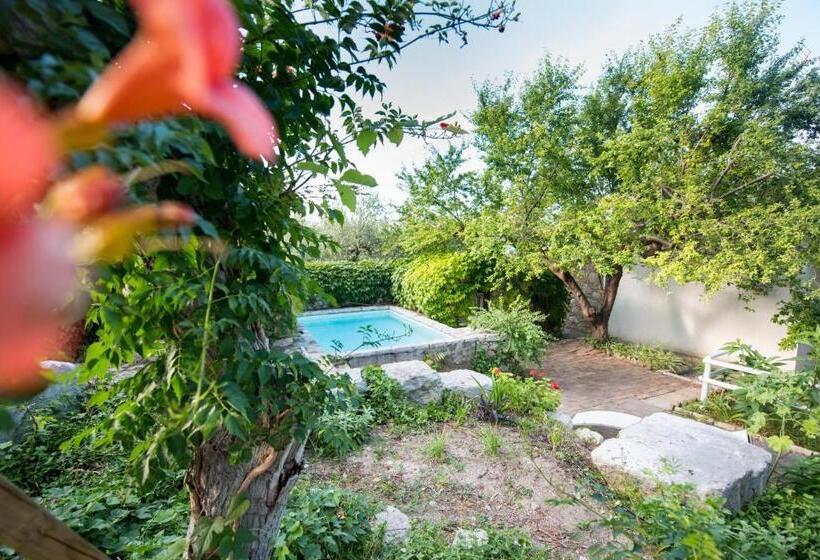 酒店 Casa Vacanze Fattoria Pozzitello