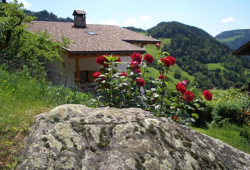هتل Lafreiderhof