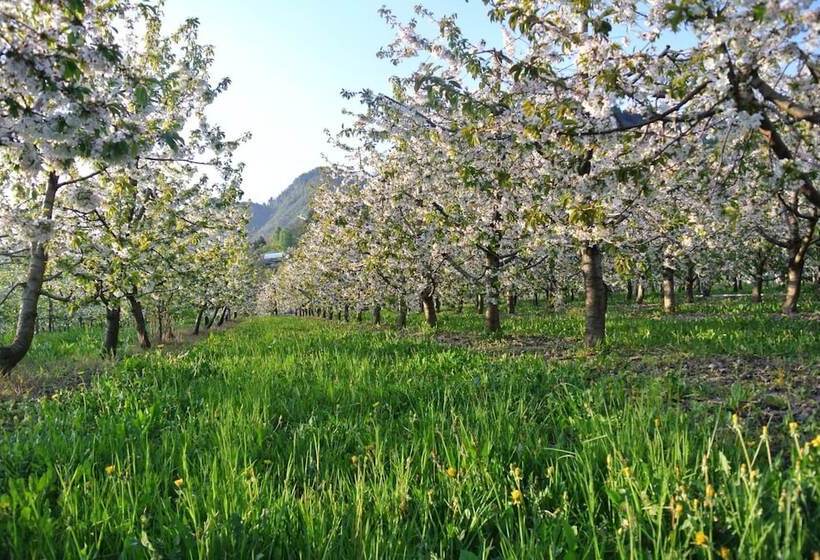 فندق Agriturismo Bortolotti