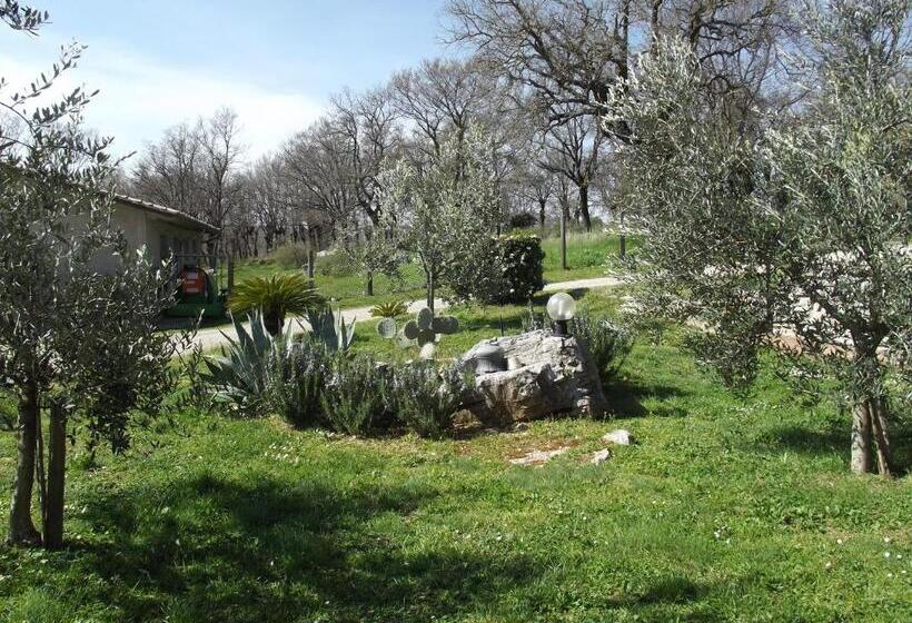 호텔 Agriturismo La Conserva