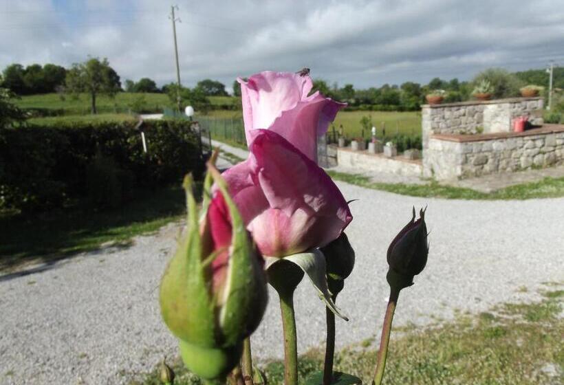 호텔 Agriturismo La Conserva