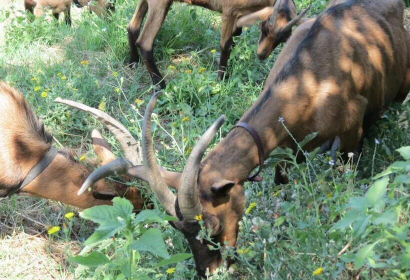 فندق Agriturismo Spa Serpanera