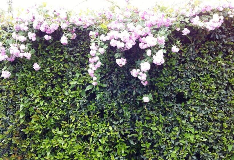 فندق Fattoria Di Migliarino