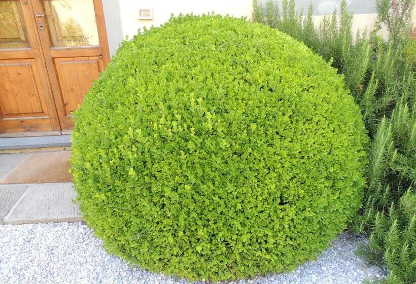 فندق Fattoria Di Migliarino