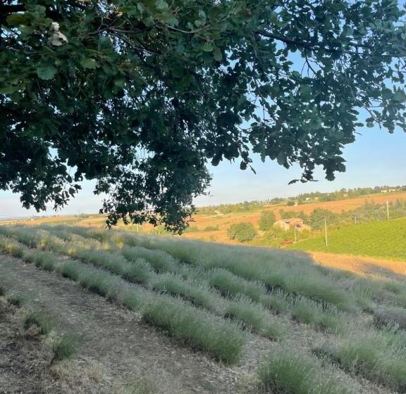 فندق L Alpenice Bioagriturismo